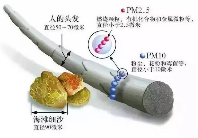 PM2.5和PM10的来源、危害和区别