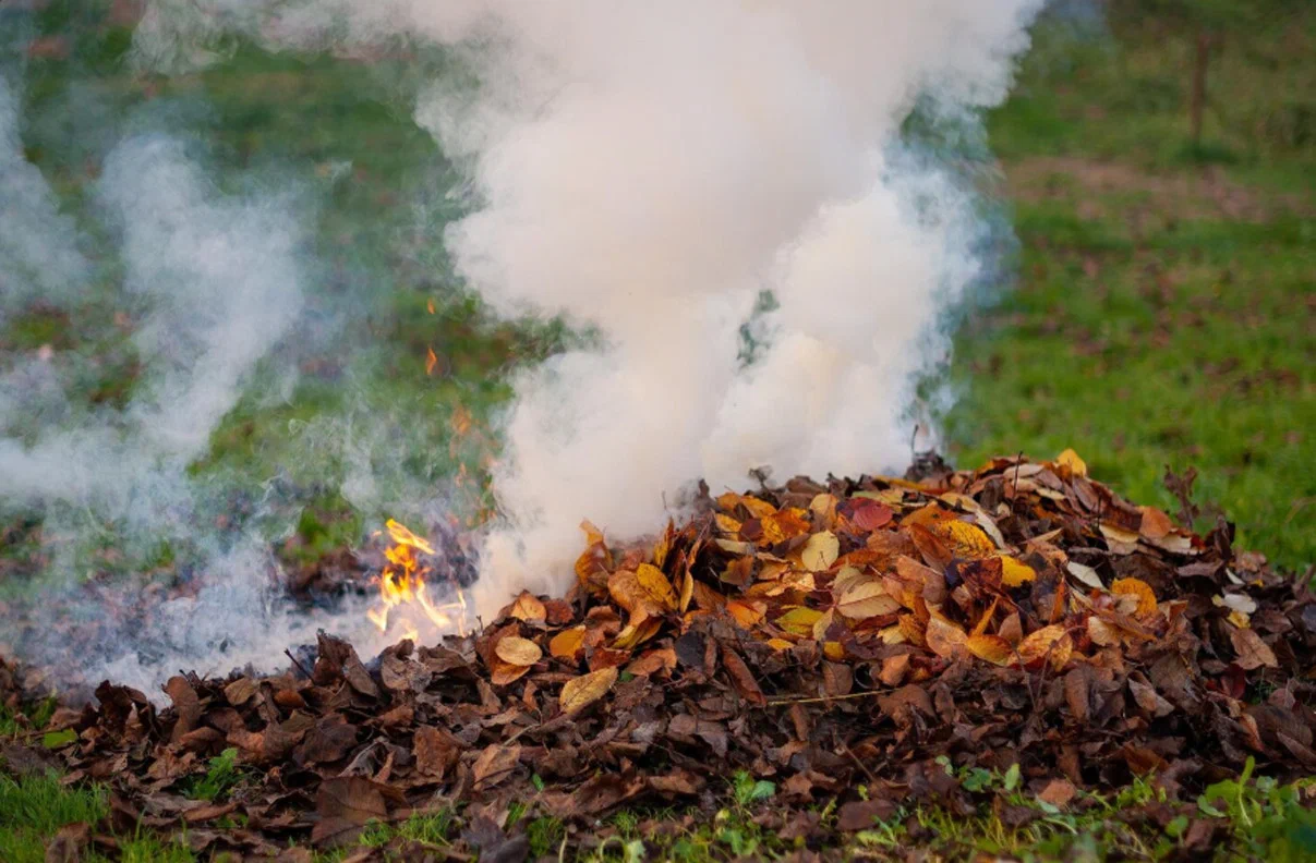 The waste incineration industry
